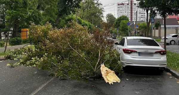 Без света и поваленные деревья: Киев накрыл сильный ураган