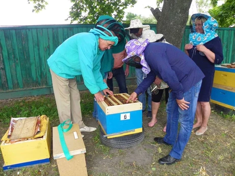 Пчеловод с 30-летним опытом: о сезоне меда, вражеских иностранных пчелах и заминированных пасеках