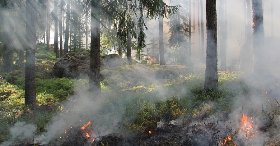В шести регионах Украины объявили чрезвычайную пожарную опасность