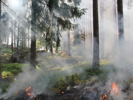 В шести регионах Украины объявили чрезвычайную пожарную опасность