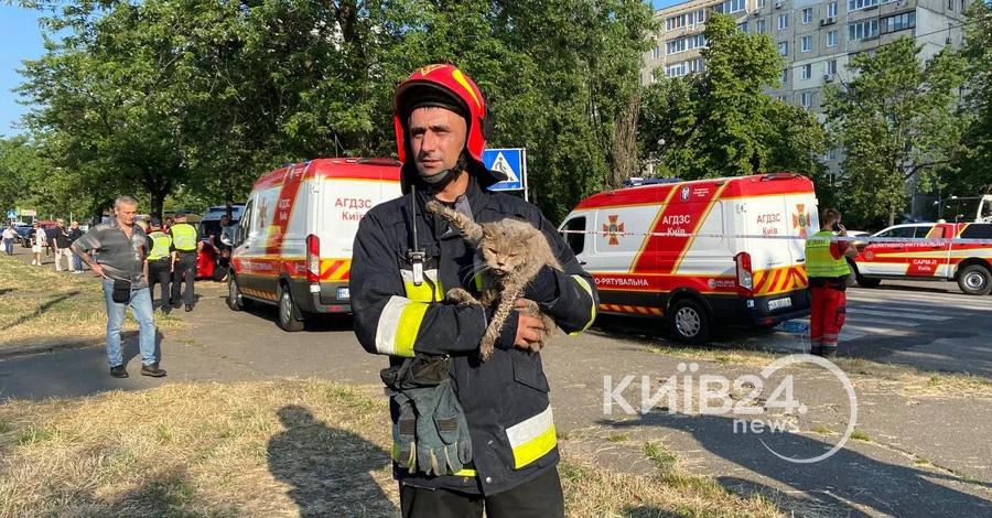 Из частично разрушенной взрывом газа многоэтажки в Киеве спасли двух котов
