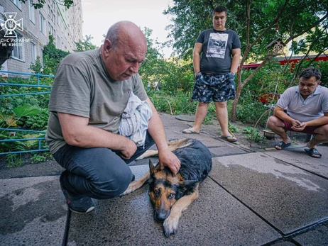 В Киеве пожарные спасли собаку из горящей квартиры