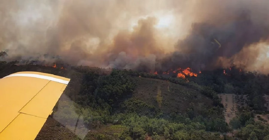 У Греції під час гасіння лісових пожеж розбився літак рятувальників