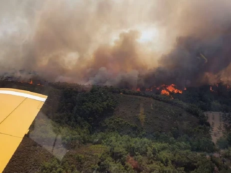 В Греции во время тушения лесных пожаров разбился самолет спасателей