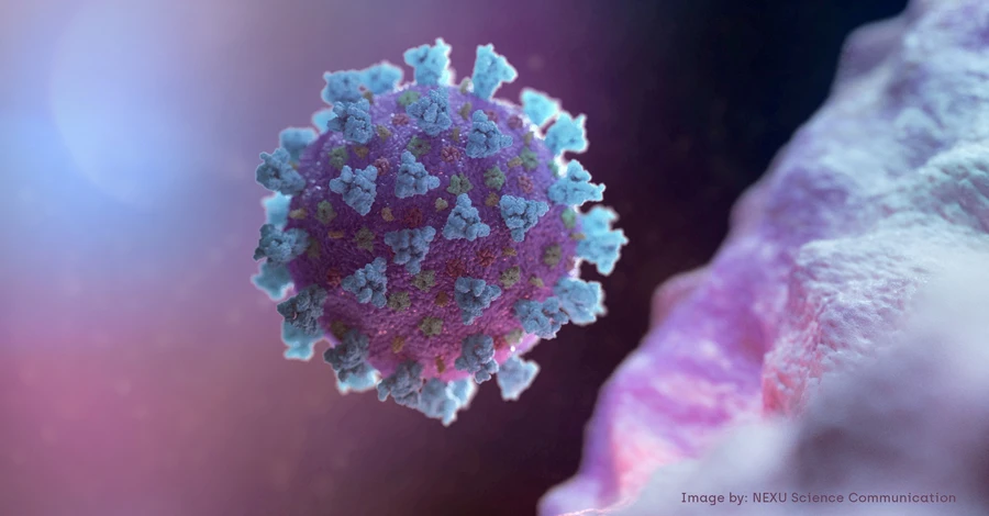 ВОЗ начала мониторить новый вариант коронавируса, обнаруженный в Европе и США