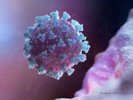 ВОЗ начала мониторить новый вариант коронавируса, обнаруженный в Европе и США