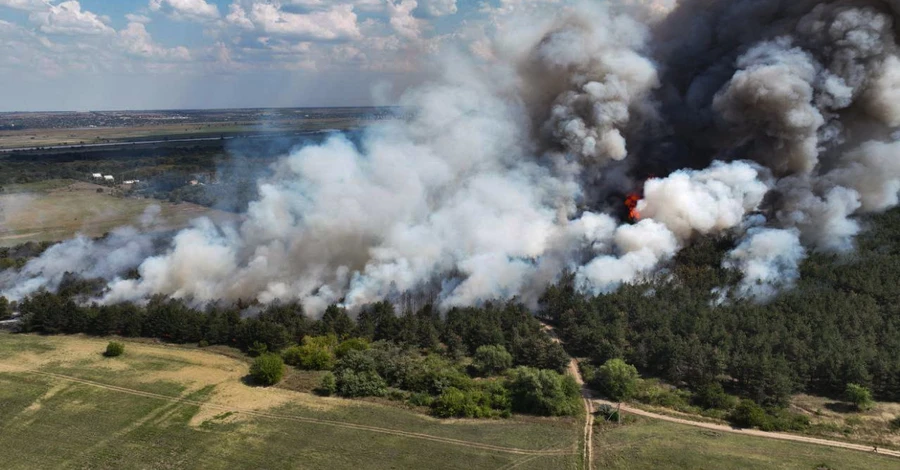 На Миколаївщині знову горить Андріївське лісове урочище