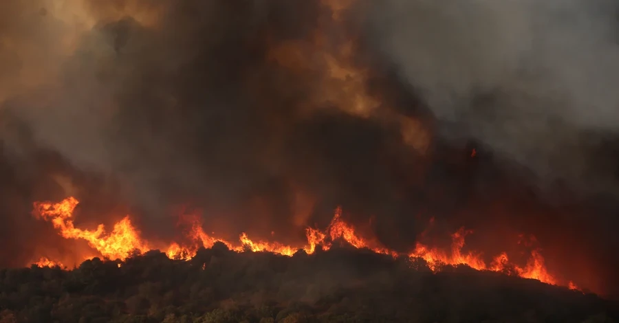 Масштабные лесные пожары в Греции: 79 человек арестовали из-за поджогов 