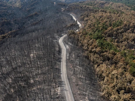 Евросоюз признал лесные пожары в Греции самыми масштабными в своей истории