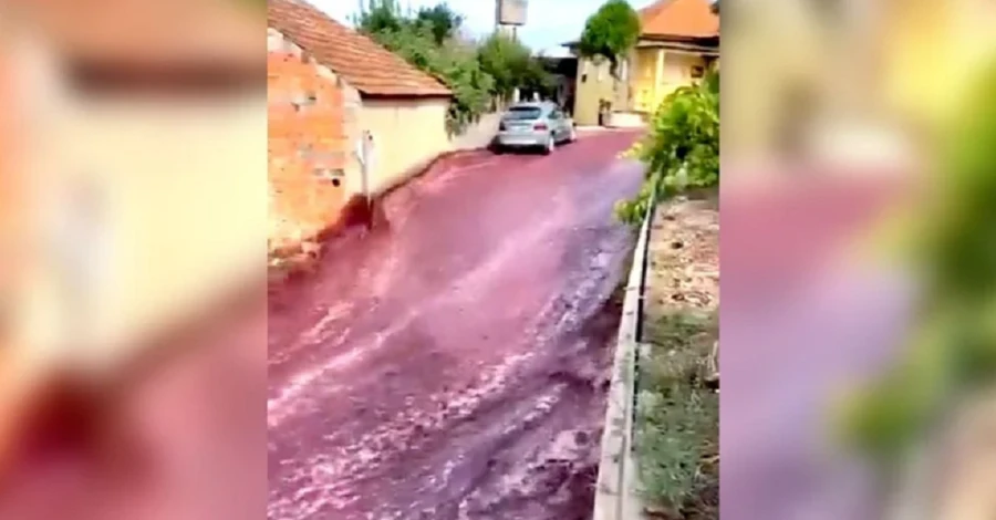 В Португалии вино затопило улицы города