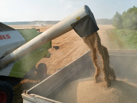 Украина подала иски против Польши, Словакии и Венгрии из-за запрета на импорт зерна 