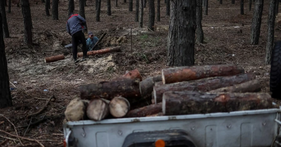 Гослесагентство разработает цену на дрова для разных регионов