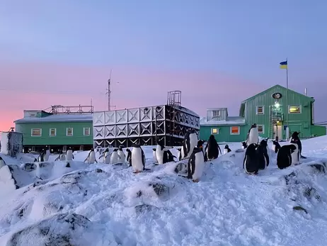 Антарктическая экспедиция на фронте: где воюют 