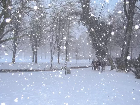 Во Львовской области падает первый снег