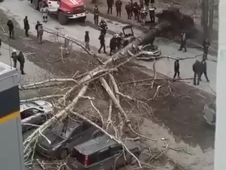 Ураган в России срывает крыши и с корнем вырывает деревья