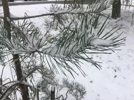 Погода в Україні 7 грудня: вночі мороз, а вдень сніг та дощ