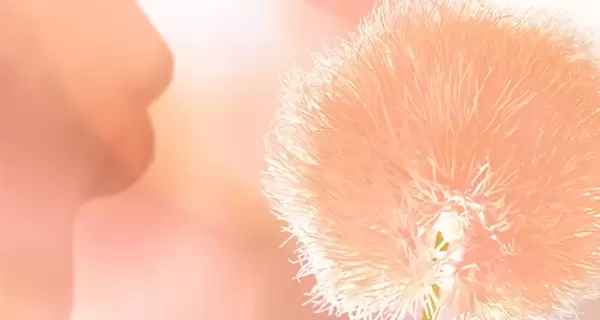 Институт Pantone назвал персиковый главным цветом 2024 года