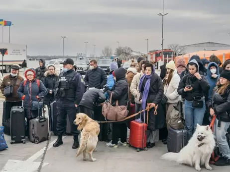 В Нидерландах депутат предложила отправить украинских беженцев домой