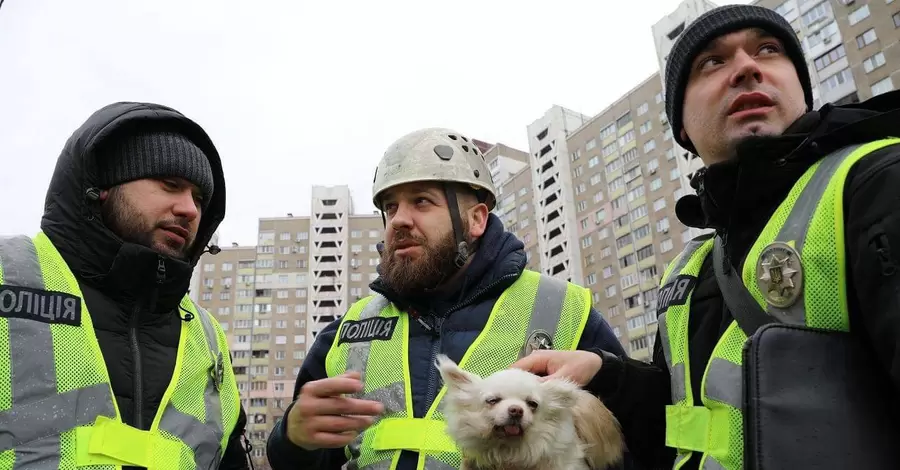 В Киеве полицейские спасли собаку, заблокированную в разрушенной квартире после обстрелов