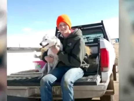 Собаку, пропавшую четыре года назад в Колорадо, нашли в тысяче километров, у мексиканской границы
