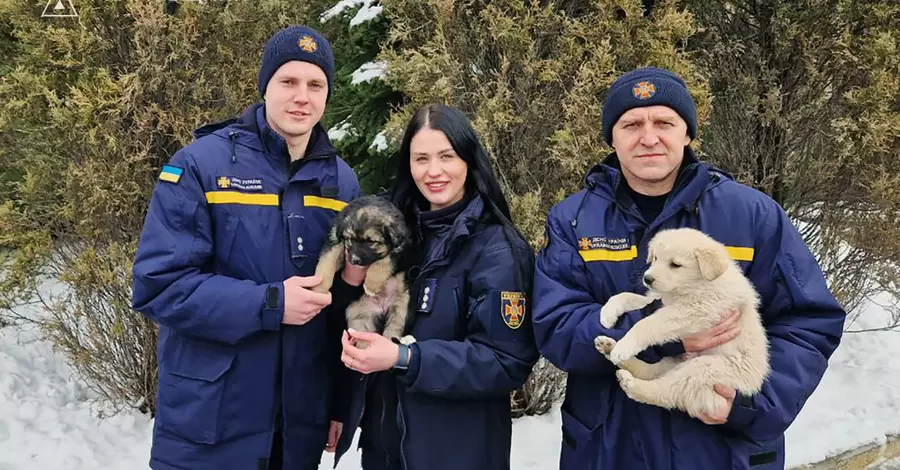 В Харьковской области работники ГСЧС спасли двух щенков