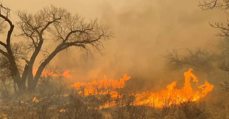Техас борется со вторым по величине лесным пожаром в истории штата