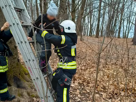Во Львовской области спасли девочку, застрявшую на дереве 
