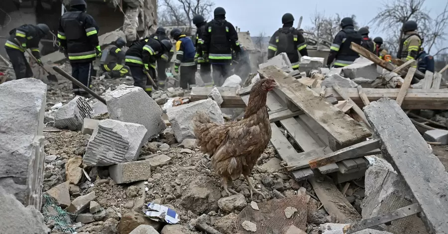 В Запорожье после удара РФ из-под завалов спасли курицу