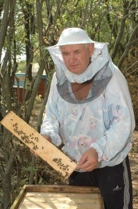 Кризис угрожает пчелам региона гибелью 