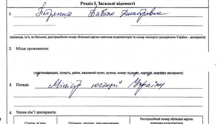 Декларация министра юстиции Павла Петренко за 2015 год