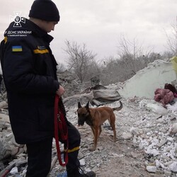 На месте трагедии работали спасатели и кинологи. Фото: ГУ ГСЧС во Львовской области